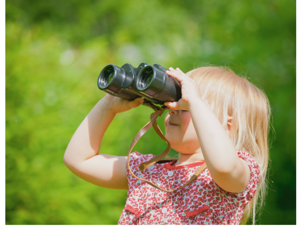 Observation faune, Parc national du Mont-Orford, Courtier immobilier Orford, Magog, Estrie