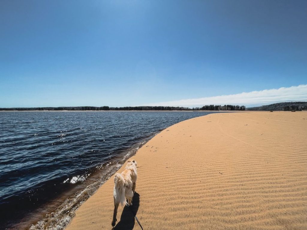 Activité Lanaudière, Auberge du Lac Taureau, Courtier immobilier, Estrie, Vacances en famille au Québec